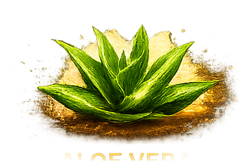 ALOE VERA